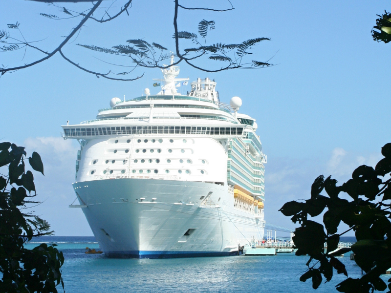 Cruise ship out on the water