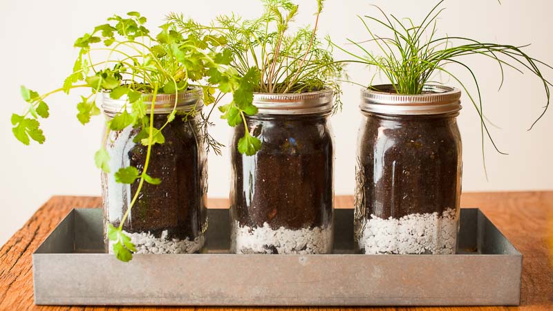 DIY Herb Garden DIY Herb Garden