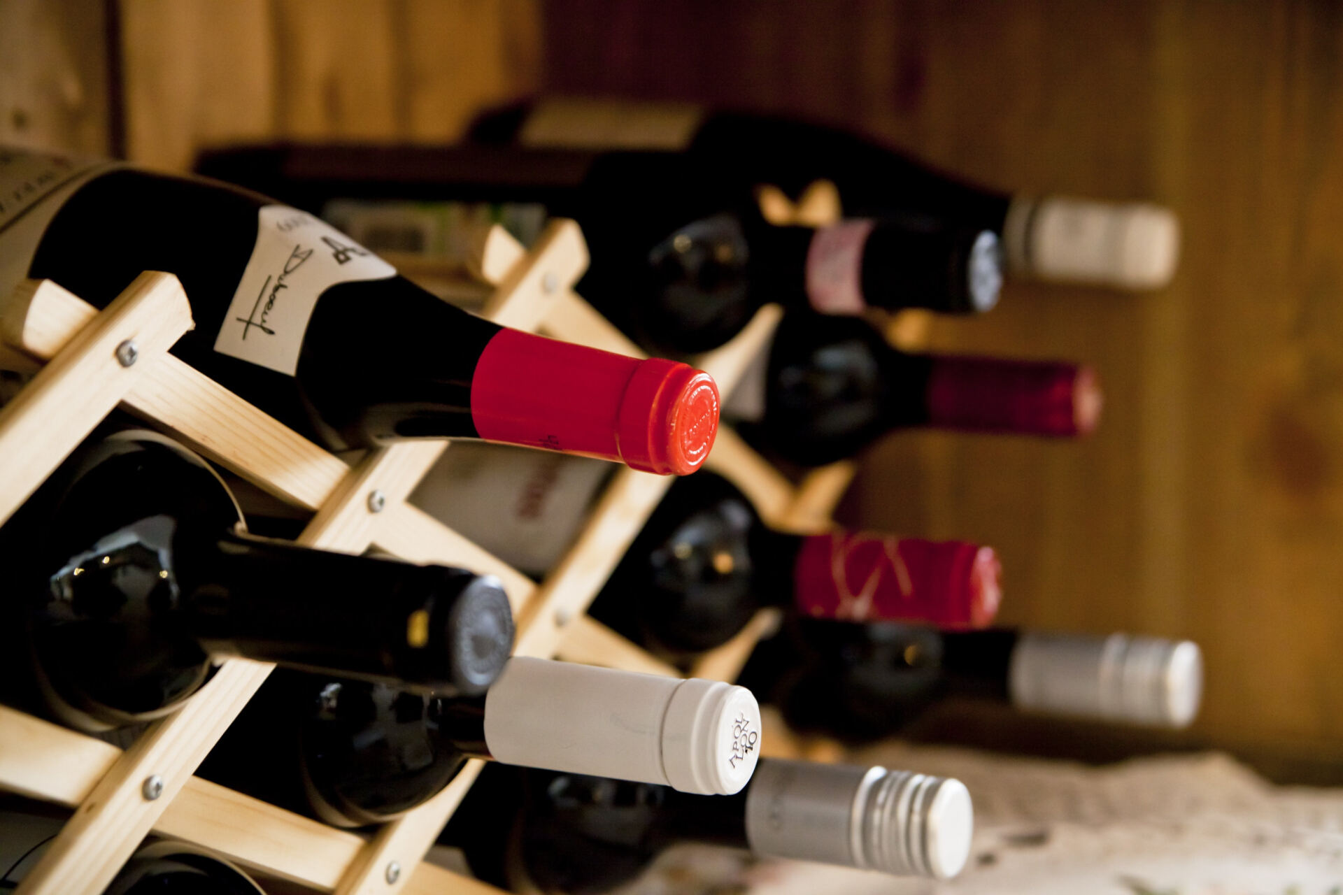 Wine bottles on display in a wine rack